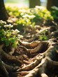 Nature’s Essence: Tree Roots and Wildflowers in Forest Light