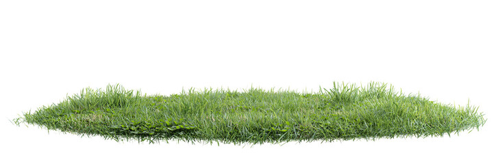 Poster - collection unit green grass on transparent background 3d rendering png