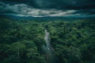 Wall Mural - a beautiful natural aerial shot of a water stream between big green bushes and trees in the jungle with cloudy sky and mist in the background
