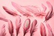 Pink feathers on a pink background. Flat lay, top view.