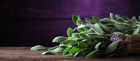Poster - Fragrant Sage Leaves Scattered on Rustic Wooden Table in Natural Light