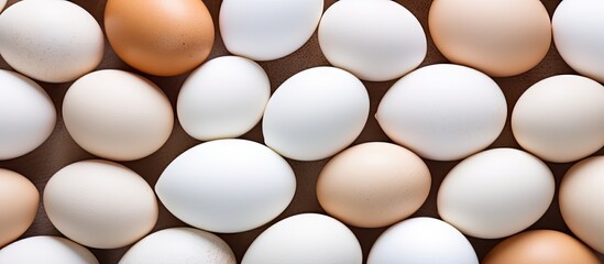 Poster - Fresh Organic Eggs Farm Produce in a Variety of Natural Colors for Healthy Cooking
