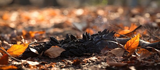 Fototapete - Autumn Bliss: Vibrant Pile of Colorful Leaves in a Serene Natural Setting