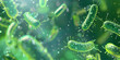 Robust Rods: Virgaviridae's Viral Variety, Most plant viruses with rod-shaped particles are found in the six genera that form the Virgaviridae family  Tobamovirus genus

