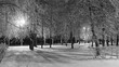 Winter Park under the snow