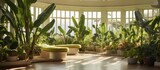 Cultivating indoor banana trees Indoor tropical space