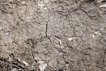 cracks on black ground background