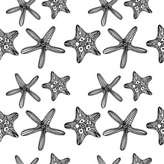 Seamless pattern with vintage linear seashells on a white background