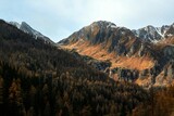 Fototapeta Panele - autumn in the mountains
