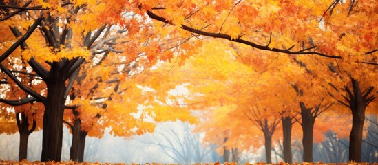 Canvas Print - Tranquil Forest Scene with Vibrant Foliage and Dense Canopy of Trees