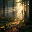 A tranquil forest with sunlight streaming through the leaves