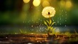 Dandelion with raindrop reflecting sun rays, showcasing nature s balance of rain and sunshine