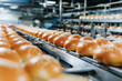 A bakery facility that is producing burger buns on an automated production line