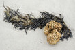 Egg capsules of common whelk washed up on Amrum island beach, North Frisia, Germany
