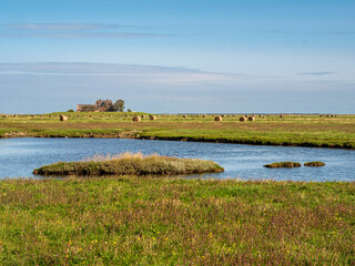 Wall Mural - Kirchwarft on Hallig Hooge, North Frisia, Schleswig-Holstein, Germany