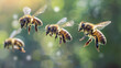 Dynamic Bee Action Close-Up, Natural Backlight
