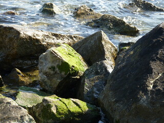 Canvas Print - Des rochers en bord de mer