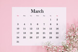 Fototapeta Tulipany - Desk calendar for March 2024 and flowers, gypsophila branch on a pink table. Flat lay, top view