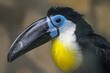 The yellow-throated toucan, with its vibrant yellow, green, and black feathers, is distinguished by a large, colorful bill adorned with orange and red hues. This captivating bird adds a striking touch