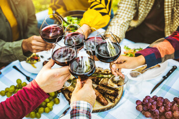 Wall Mural - Happy friends drinking red wine at farm house vineyard countryside - Group of young people enjoying lunch break together outside - Hands holding wineglasses at sunset golden hour	