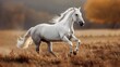 Majestic white horse galloping freely across a serene autumn field with golden tones in the background 
