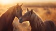 Two horses affectionately nuzzle each other in a golden sunset-lit field. 
