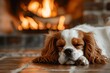 Dog Sleeping Peacefully in Front of Fireplace