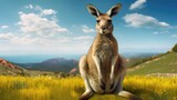 Fototapeta  - Kangaroo  talk show host about life in Australia