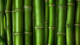 Fototapeta Sypialnia -  a close up of a bamboo plant with lots of green stalks in the foreground and the top part of the plant in the background.