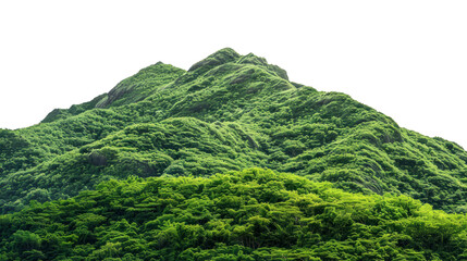 Vegetated Green Moutain Isolated On Transparent Background. Peaks With Vegetation, Forest And Jungle. Realistic Mountain Environment