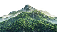 Vegetated Green Moutain Isolated On Transparent Background. Peaks With Vegetation, Forest And Jungle. Realistic Mountain Environment
