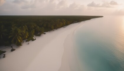 Wall Mural - photo aerial wide shot of a beach with trees next to the sea in maldives during sunset 