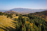 Fototapeta Na ścianę - Drone photo of coniferous forest in late autumn on mountain landscape