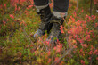 © Paul Schlemmer/Stocksy - Leather hiking boots autumn tundra crop