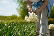 © AD Astra Team/Stocksy - A woman's hands collect flowers on a farm