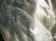 Abstraktes Motiv mit grau-weißer transparenter Folie mit Wellenmuster und Licht als Hintergrund