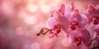Soft-Colored Romantic Valentine's Day Theme with Gentle Orchid Background. Concept Valentine's Day, Romantic Theme, Soft Colors, Orchid Background, Gentle Atmosphere