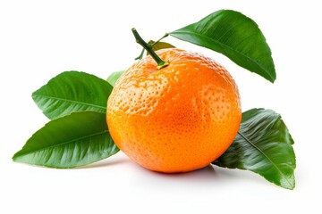 Wall Mural - Bright orange tangerine with leaves Freshly picked and isolated on a white background