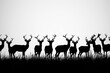 many deer silhouettes standing on grass isolated