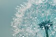 dandelion free wallpaper and background image in blue