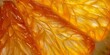 Orange slice background. Texture of fresh juicy shiny orange fruit piece close-up. Abstract macro shoot