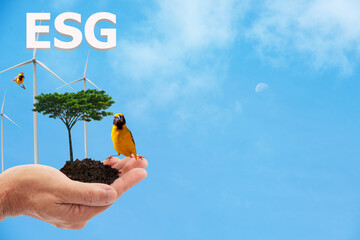 In his hand was soil for planting tree ,wind turbine ,ESG letters and icons on nature background.Investment concept.