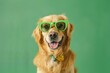Cute dog with party glasses on color background. St. Patrick's Day celebration. Generative AI