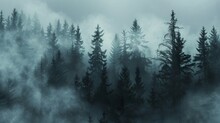 Mysterious fog over a dark grey forest landscape
