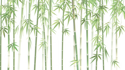 Wall Mural - A row of bamboo trees with a white background