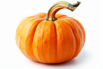 Pumpkin on white background 