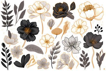 Collection of hand drawn linear various plants and flowers, minimalist illustration