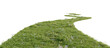 © snesivan - Grass path isolated on transparent background. 3D rendering.
