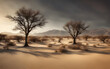 A barren landscape with skeletal remains of trees, illustrating desertification.