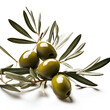 olives on a white background. 